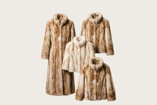 保定市回收皮草衣服